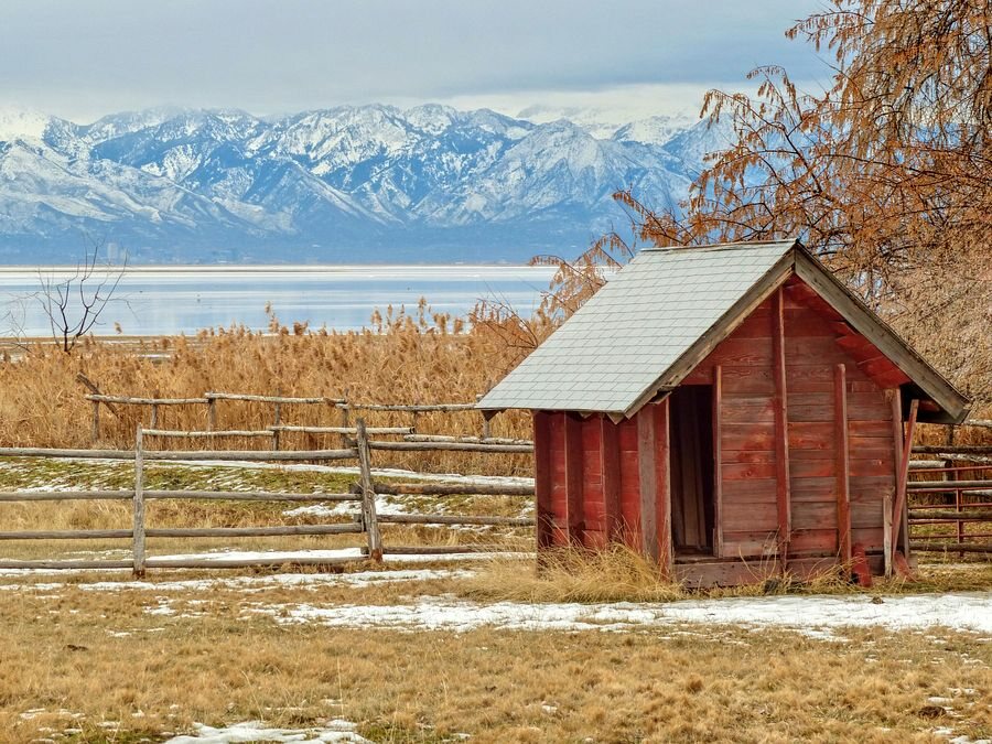 Click to See Next Image